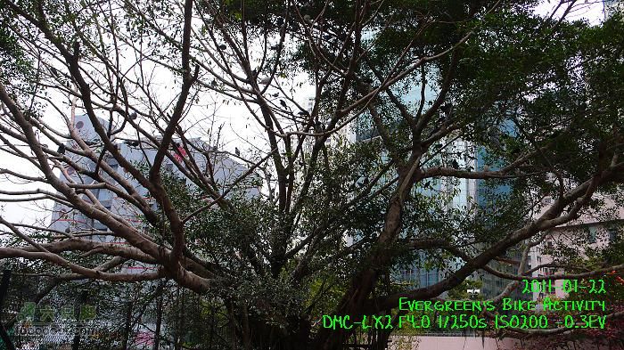 2011 01 22 環島P1360046