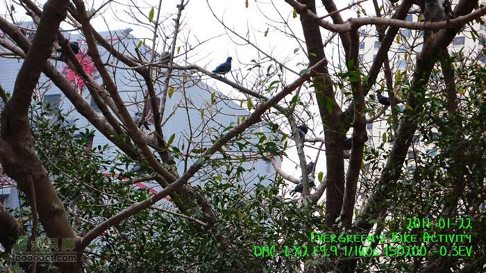 2011 01 22 環島P1360047