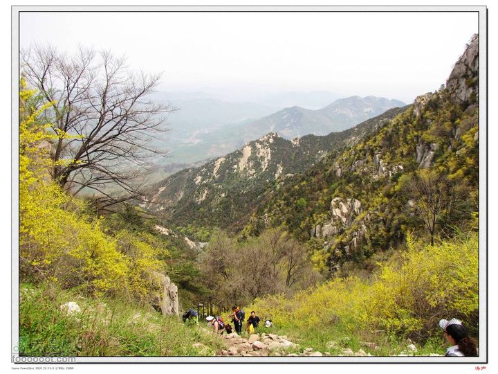 泰山 小明家滩老虎口玉皇顶东御道即将登上山顶垭口