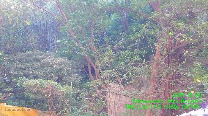 2009 12 20 灣仔>西環>山頂>灣仔P1250015