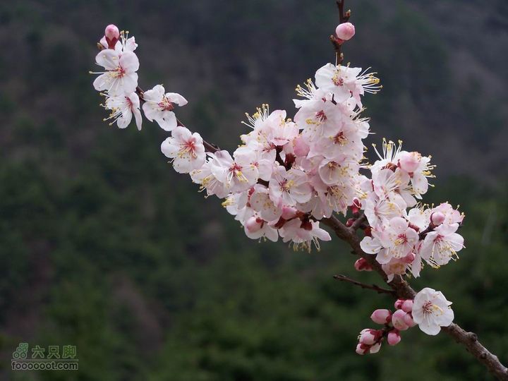 骑行分水岭100_8387
