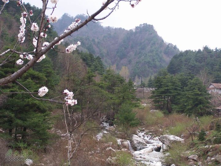 骑行分水岭100_8388