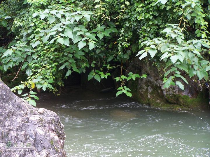 安康旬阳环羊山骑行100_3151