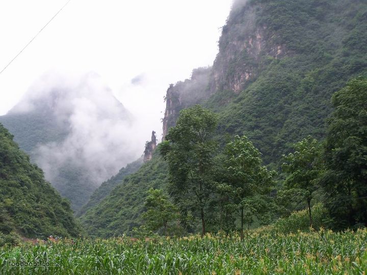 安康旬阳环羊山骑行100_3152