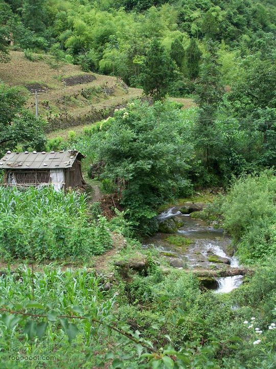 安康旬阳环羊山骑行100_3173