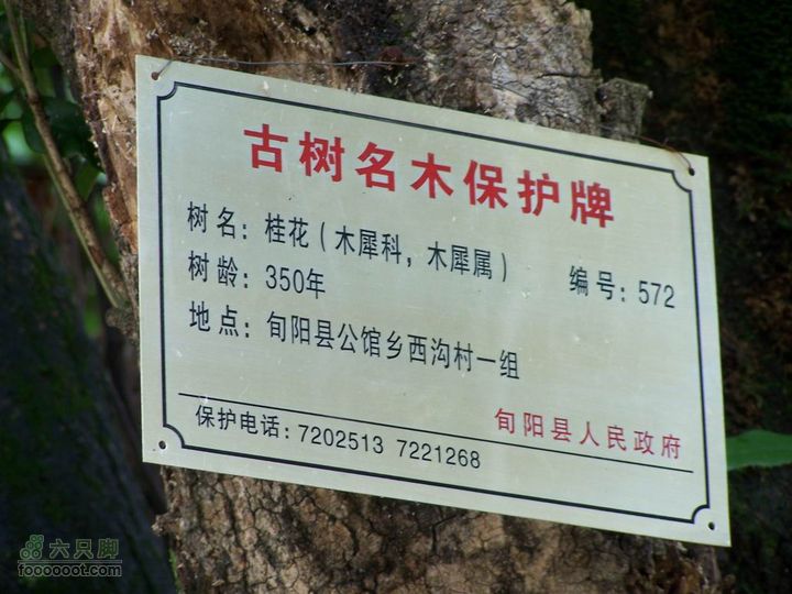 安康旬阳环羊山骑行100_3174