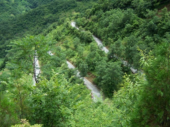 安康旬阳环羊山骑行100_3194