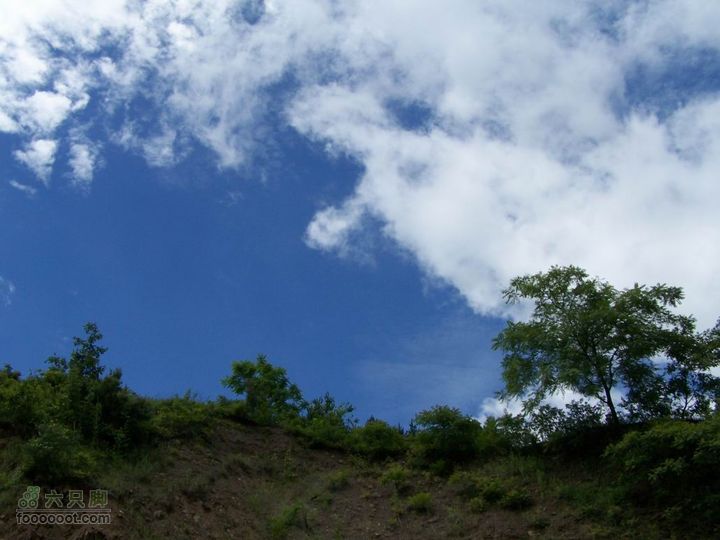 安康旬阳环羊山骑行100_3210