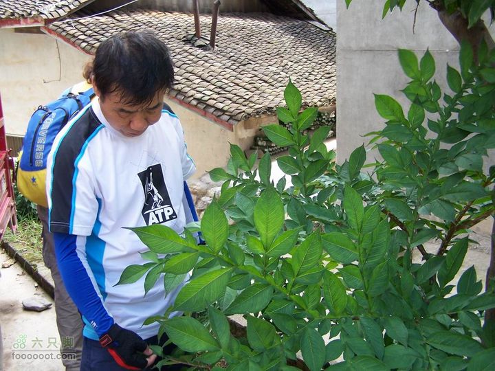 安康旬阳环羊山骑行100_3223