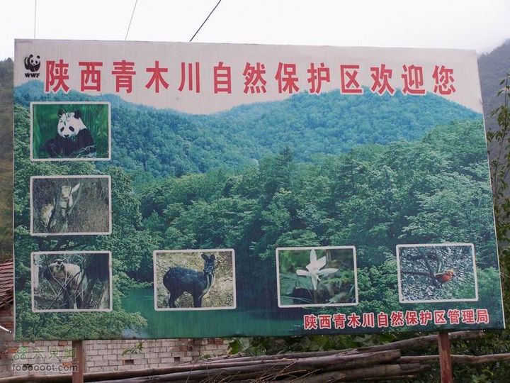 2009年国庆单车青木川100_2510