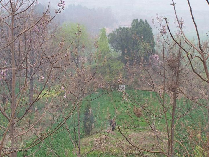 2008-4-4临潼-蓝田环骑100_8118