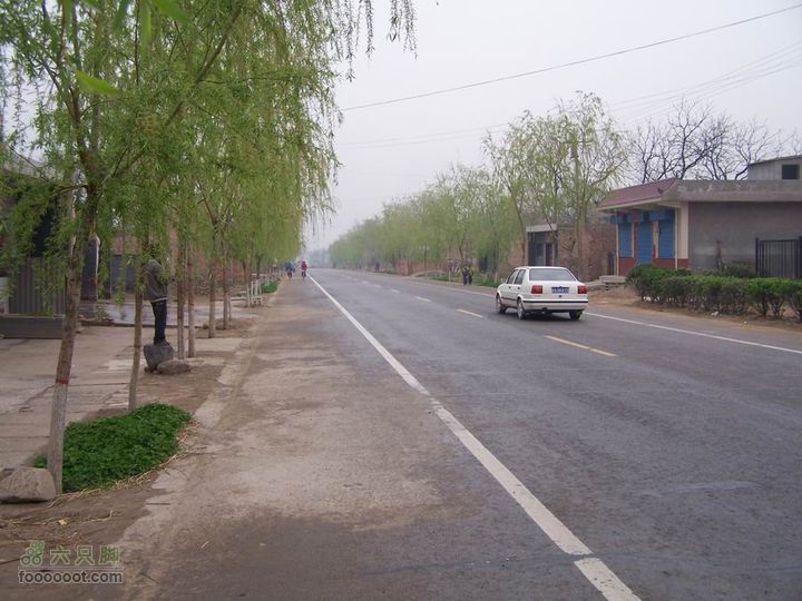 2008-4-4临潼-蓝田环骑100_8123