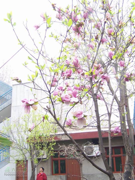 2008-4-4临潼-蓝田环骑100_8129