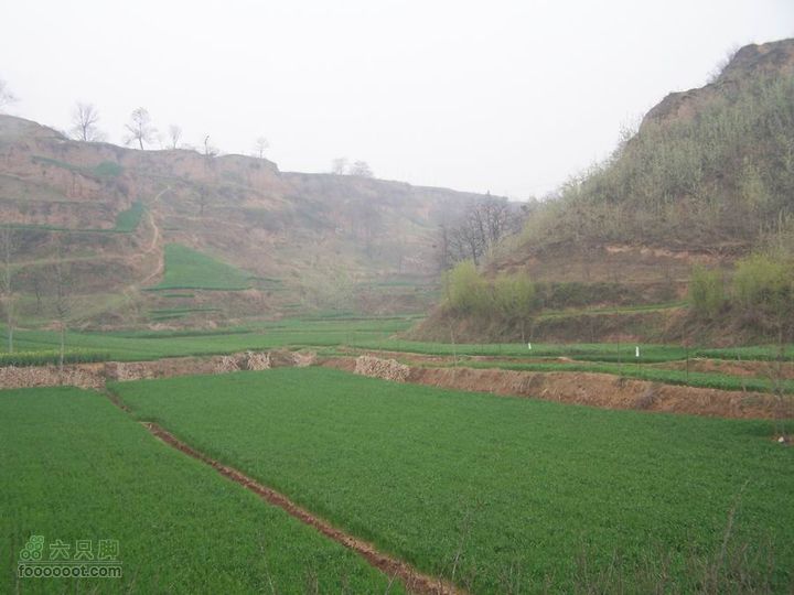 2008-4-4临潼-蓝田环骑100_8135