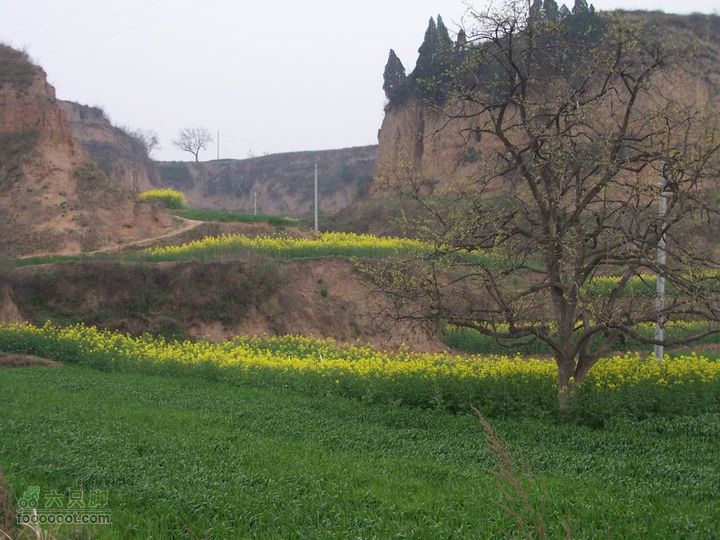 2008-4-4临潼-蓝田环骑100_8144