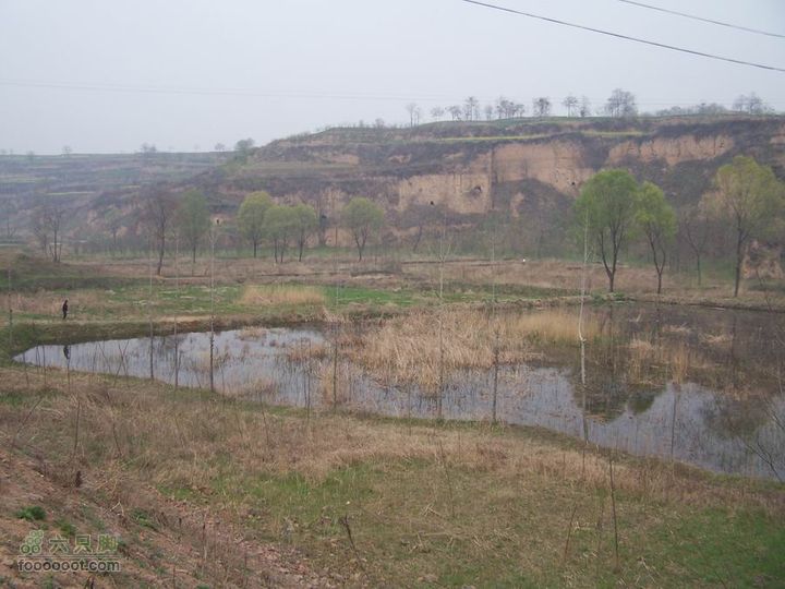 2008-4-4临潼-蓝田环骑100_8158