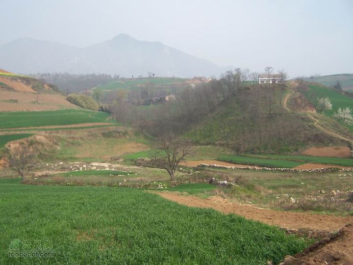 2008-4-4临潼-蓝田环骑100_8173