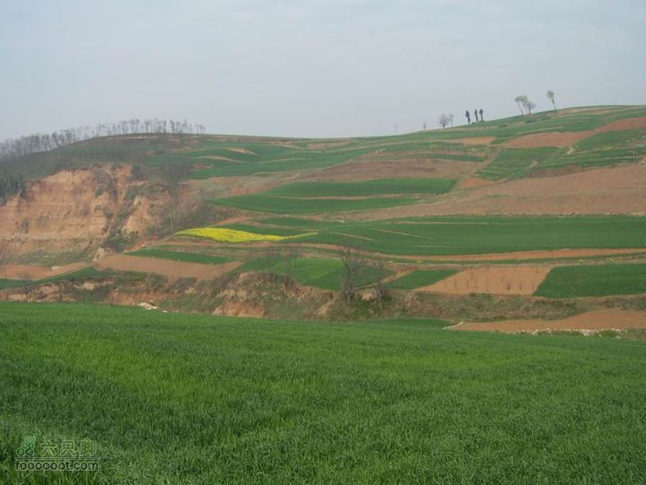 2008-4-4临潼-蓝田环骑100_8174