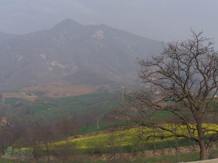 2008-4-4临潼-蓝田环骑100_8178