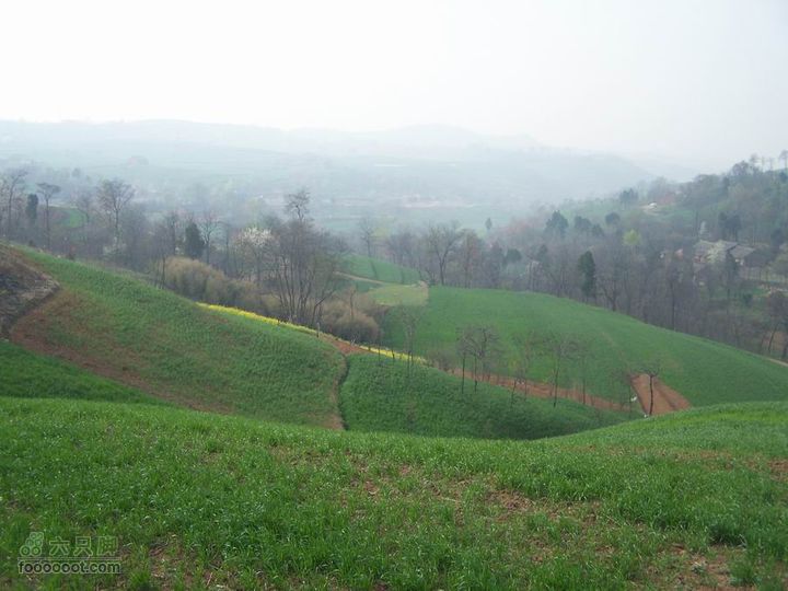 2008-4-4临潼-蓝田环骑100_8181