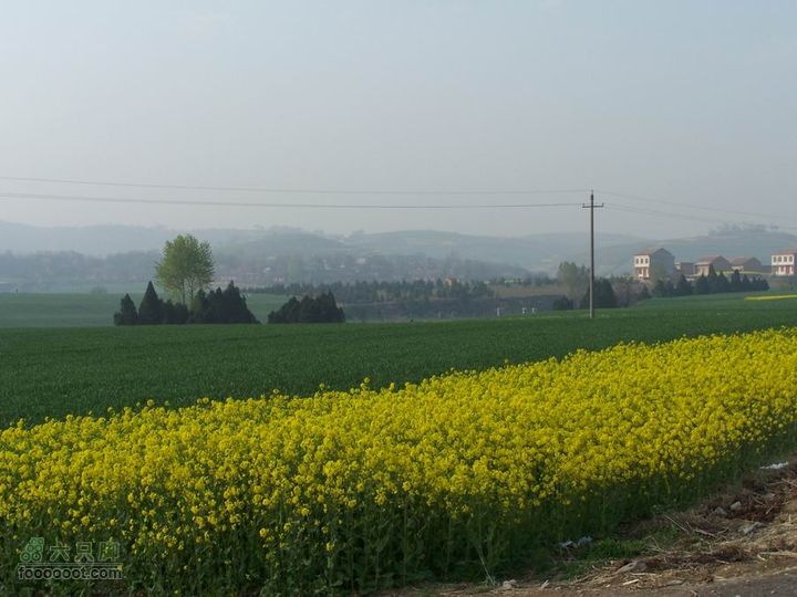 2008-4-4临潼-蓝田环骑100_8185