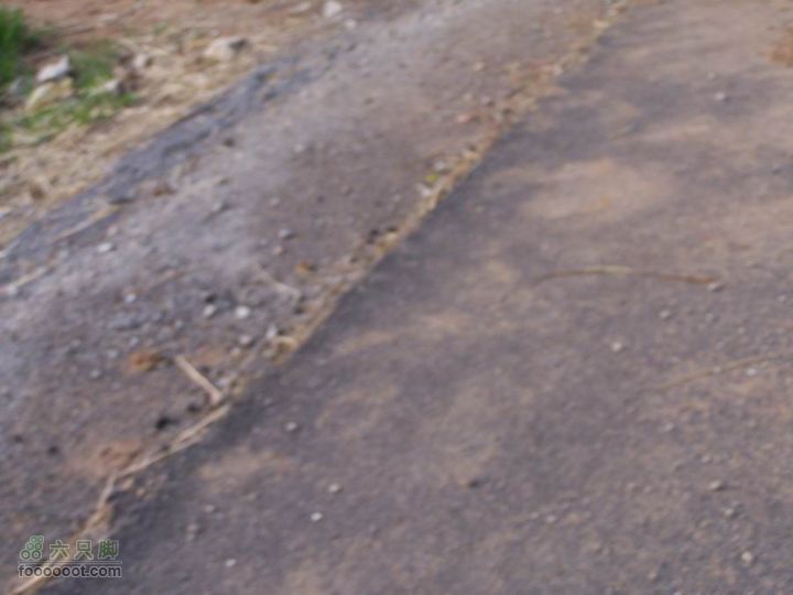 2008-4-4临潼-蓝田环骑100_8186