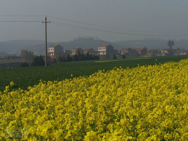 2008-4-4临潼-蓝田环骑100_8188