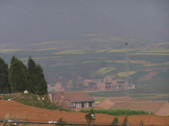 2008-4-4临潼-蓝田环骑100_8191