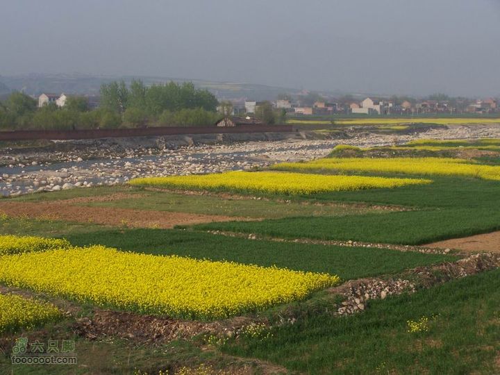 2008-4-4临潼-蓝田环骑100_8198
