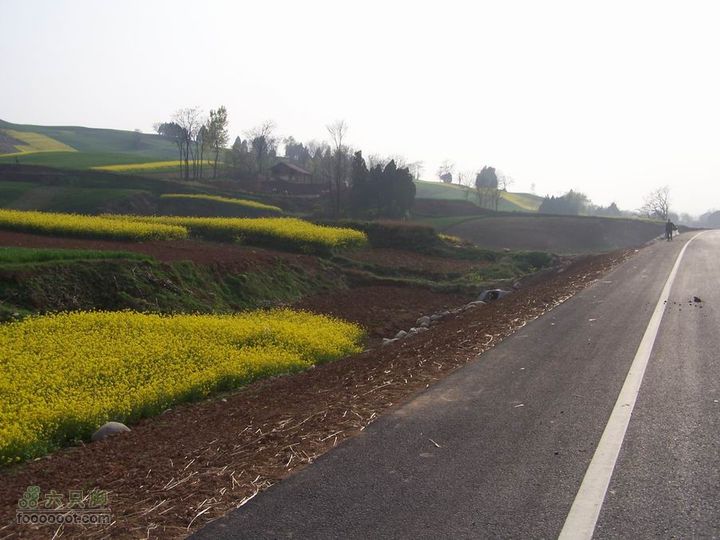 2008-4-4临潼-蓝田环骑100_8199