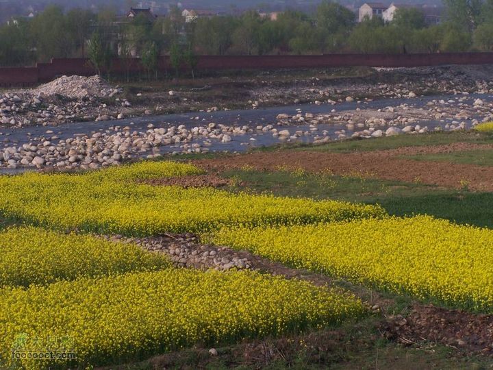 2008-4-4临潼-蓝田环骑100_8201
