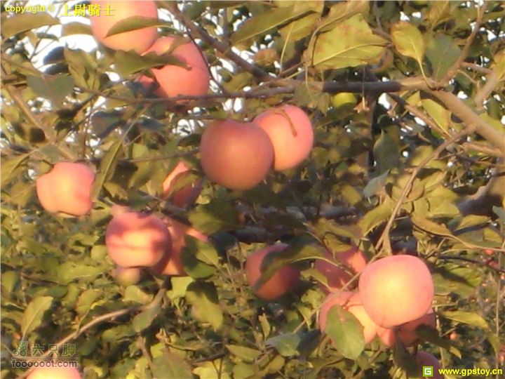 2010年10月2日照金骑行照片 043