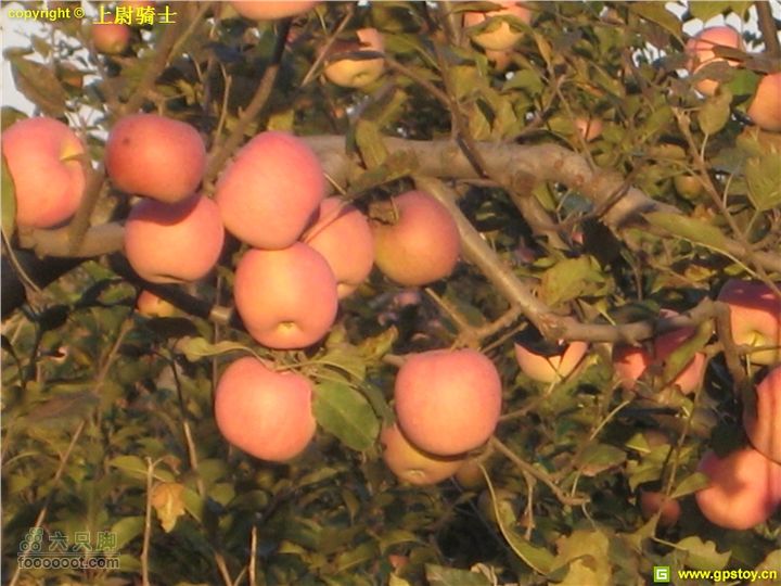 2010年10月2日照金骑行照片 044