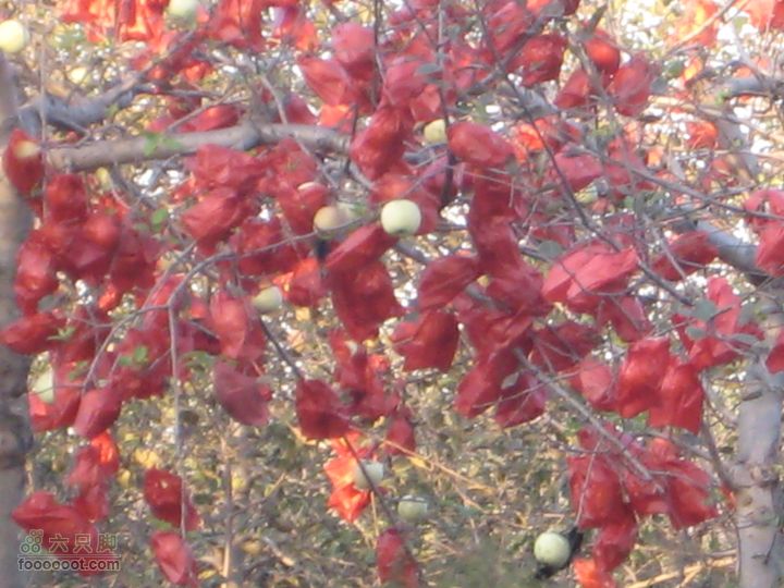 2010年10月2日照金骑行照片 151