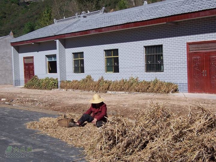 2010年10月2日照金骑行100_2543