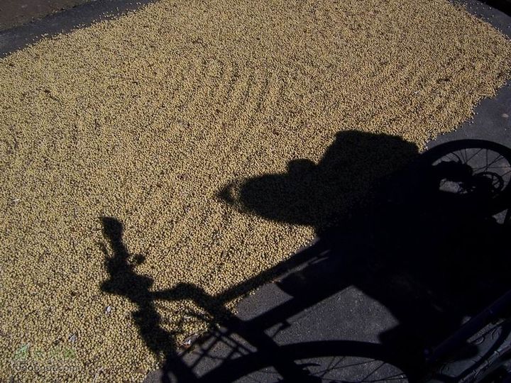 2010年10月2日照金骑行100_2544