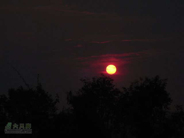 六只脚最长行程——柬埔寨暹粒四日游全程记录RIMG0414