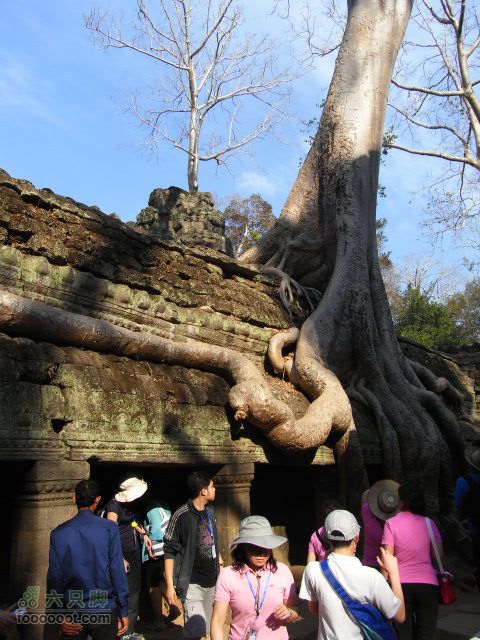 六只脚最长行程——柬埔寨暹粒四日游全程记录RIMG0481