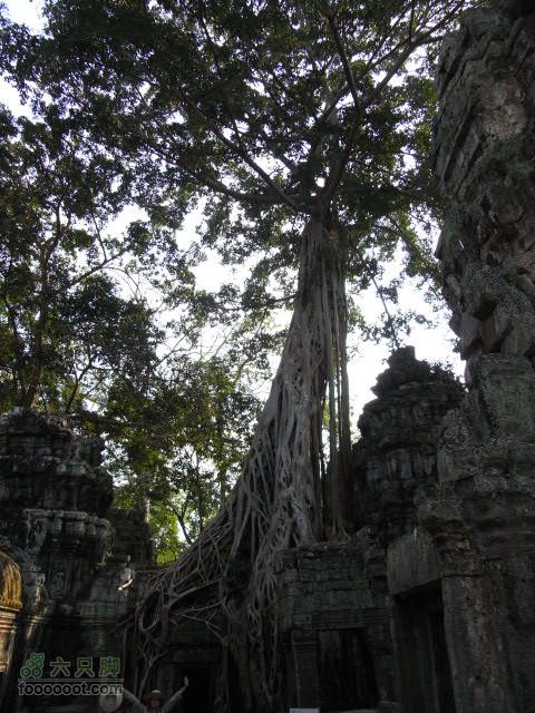 六只脚最长行程——柬埔寨暹粒四日游全程记录RIMG0499