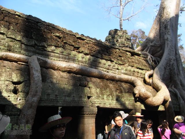 六只脚最长行程——柬埔寨暹粒四日游全程记录RIMG0483