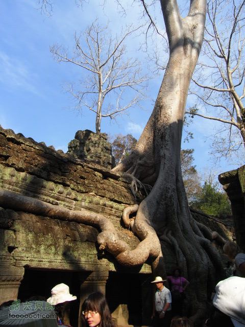 六只脚最长行程——柬埔寨暹粒四日游全程记录RIMG0485