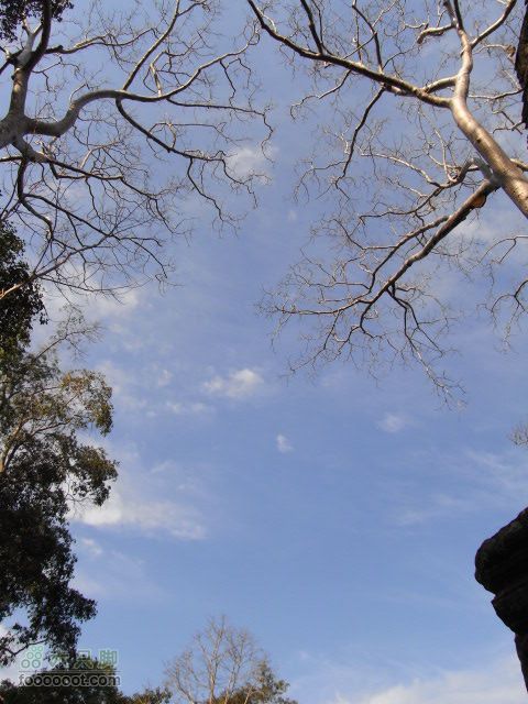 六只脚最长行程——柬埔寨暹粒四日游全程记录RIMG0487