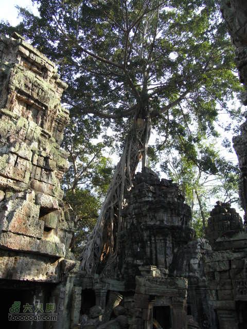 六只脚最长行程——柬埔寨暹粒四日游全程记录RIMG0495