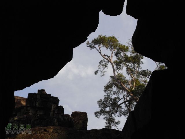 六只脚最长行程——柬埔寨暹粒四日游全程记录RIMG0517