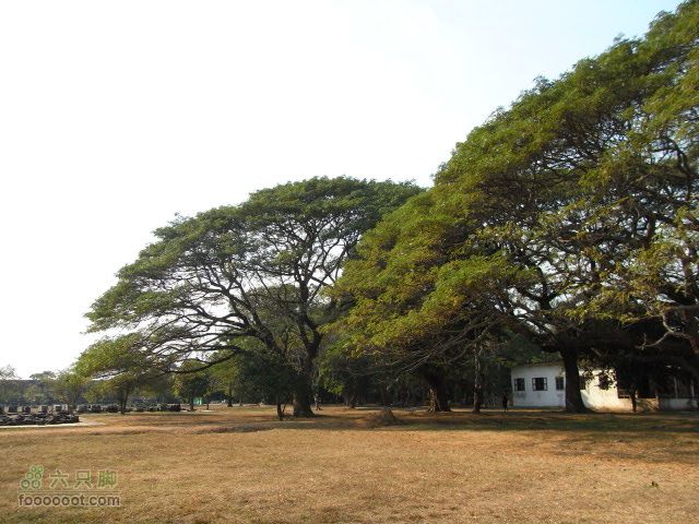 六只脚最长行程——柬埔寨暹粒四日游全程记录RIMG0687