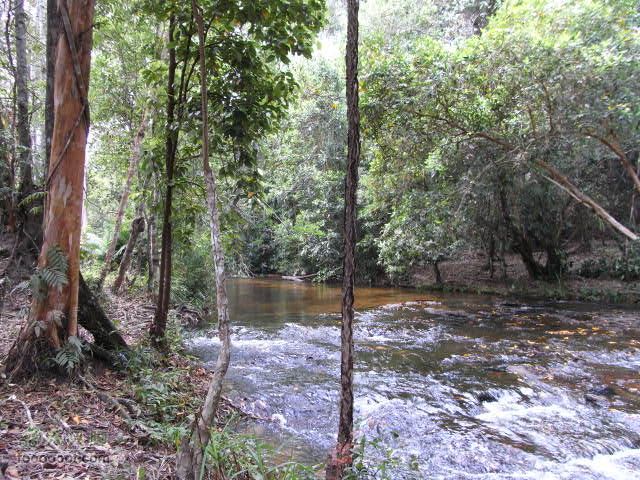 六只脚最长行程——柬埔寨暹粒四日游全程记录RIMG1510