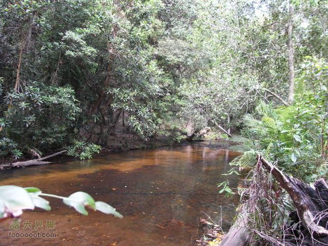 六只脚最长行程——柬埔寨暹粒四日游全程记录RIMG1502