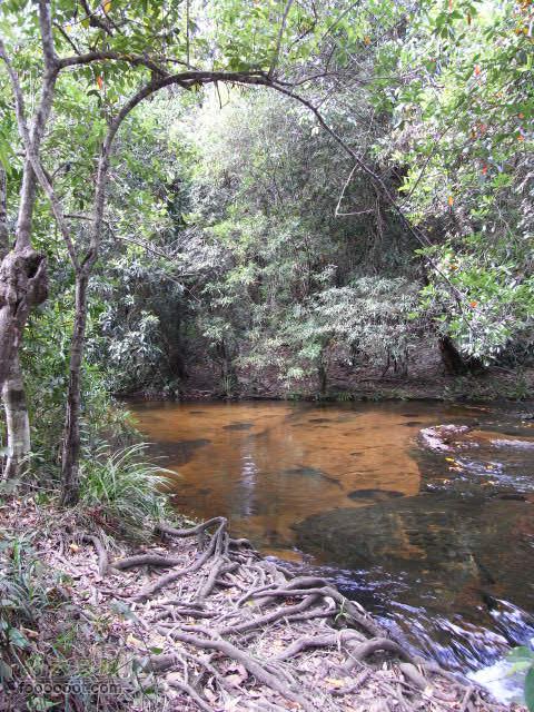 六只脚最长行程——柬埔寨暹粒四日游全程记录RIMG1504