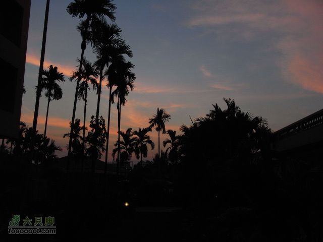 六只脚最长行程——柬埔寨暹粒四日游全程记录RIMG1726