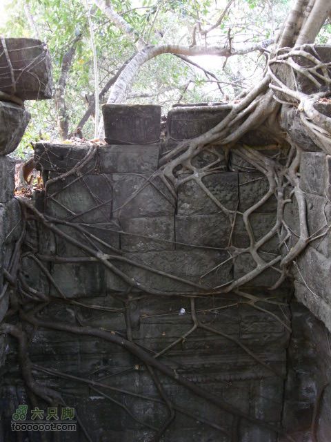 六只脚最长行程——柬埔寨暹粒四日游全程记录RIMG0360